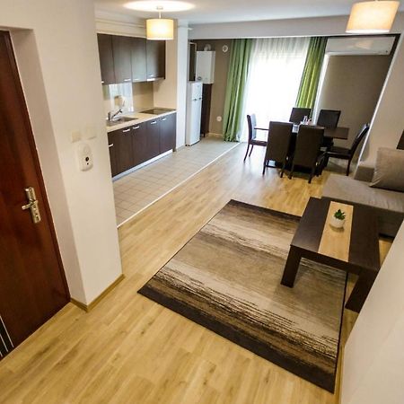 Apartament Business Langa Vivo Mall Apartment Baia Mare Bagian luar foto
