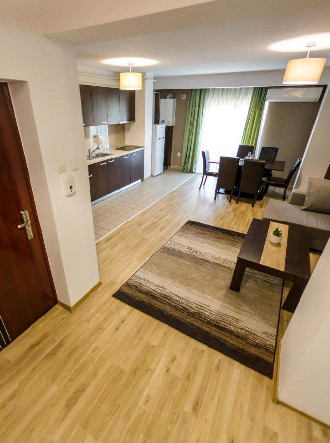 Apartament Business Langa Vivo Mall Apartment Baia Mare Bagian luar foto
